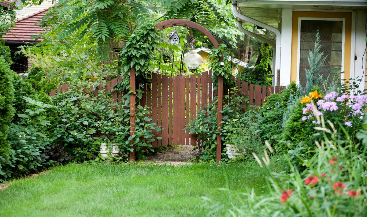 A wooden gate with an archway leading out of a lush backyard.