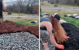 This Simple, No-Dig Garden Prep Hack Is Going Viral
