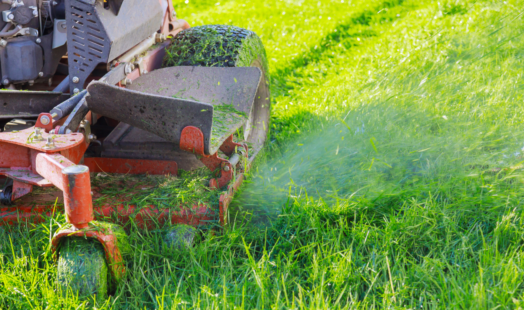 A close photo of a lawn mower mid-mow.